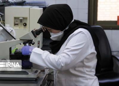 خبرنگاران 300 آزمایش نمونه کرونا در دانشگاه علوم پزشکی ایرانشهر انجام شد