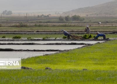 خبرنگاران دولت تدبیر و امید 22 هزار میلیارد تومان در بخش آب و خاک هزینه کرد