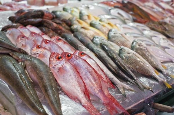 ساده ترین روش تشخیص ماهی سالم از ناسالم