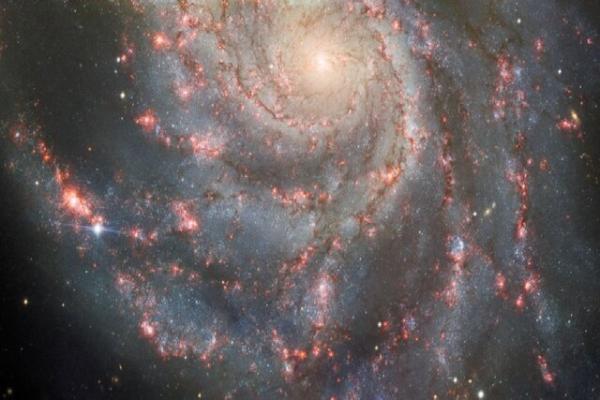 درخشش یک ابرنواختر در دل کهکشان فرفره