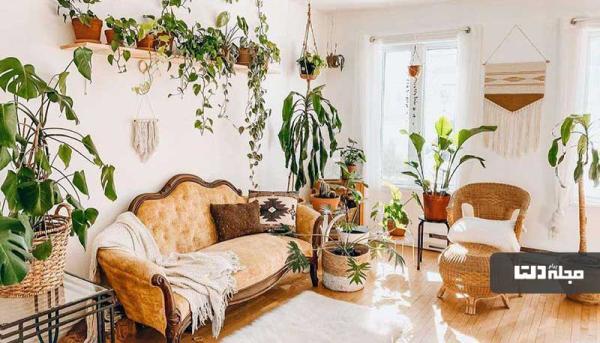 زیباترین گیاهان آپارتمانی در دکوراسیون بوهمی